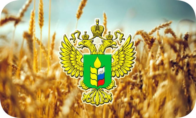 icon - /uploads/s/m/k/q/mkqiju4lamj9/img/full_IlOBefhZ.png